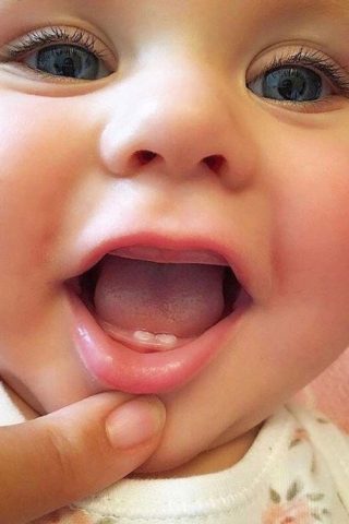 56ba6230d1128f4452ec7b86aca01eb0